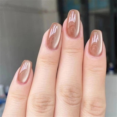 Nude Color Cat Eye Press On Nails