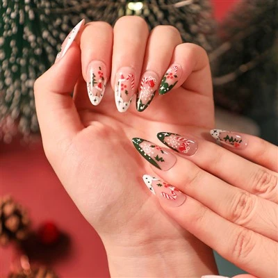 Snowflake and Candy Cane Christmas Nails